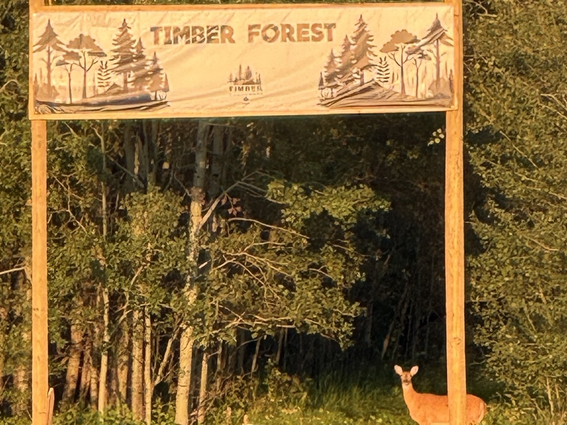Wild deer visiting the Timber Forest entrance the day before Timber Festival 2026 opened