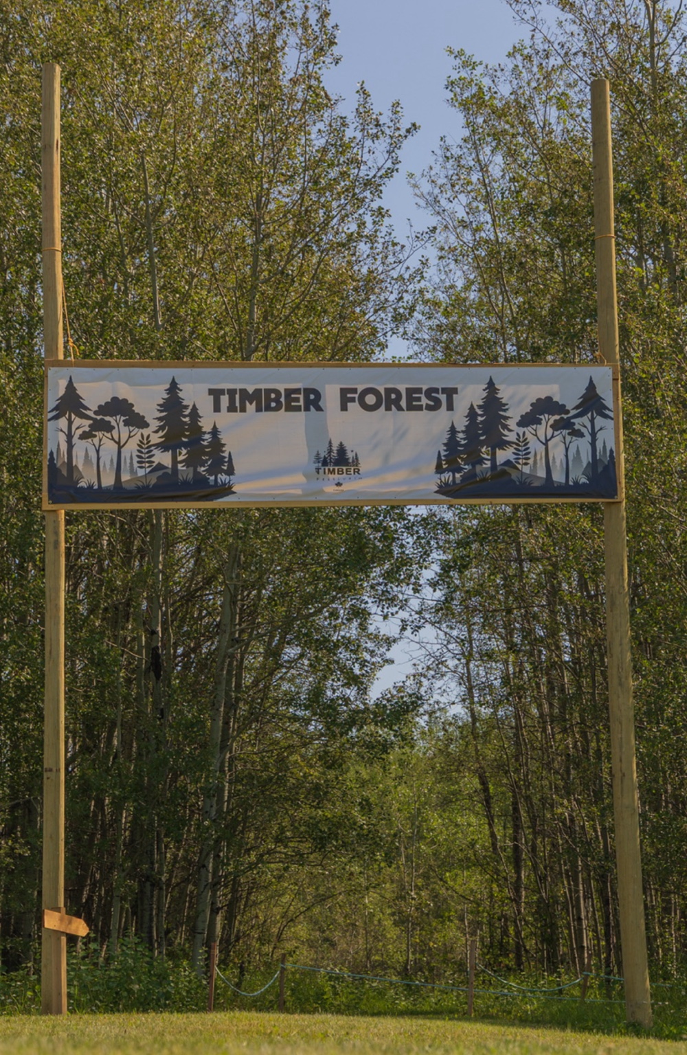 Timber Forest entrance sign surrounded by trees at Timber Festival in Mulhurst Bay Alberta