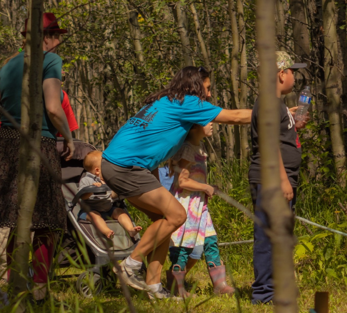 Children and families exploring among the trees in Timber Forest during Timber Festival 2026
